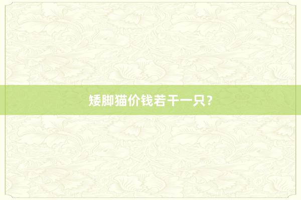 矮脚猫价钱若干一只？